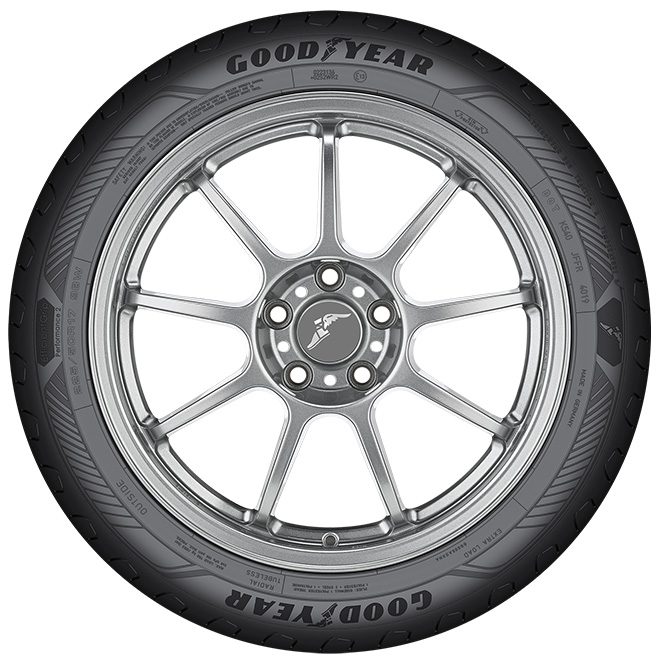 Pneumatico GOODYEAR EfficientGrip Performance 2, 195/55VR16 87V, Per Auto, Etichetta UE, *E*
