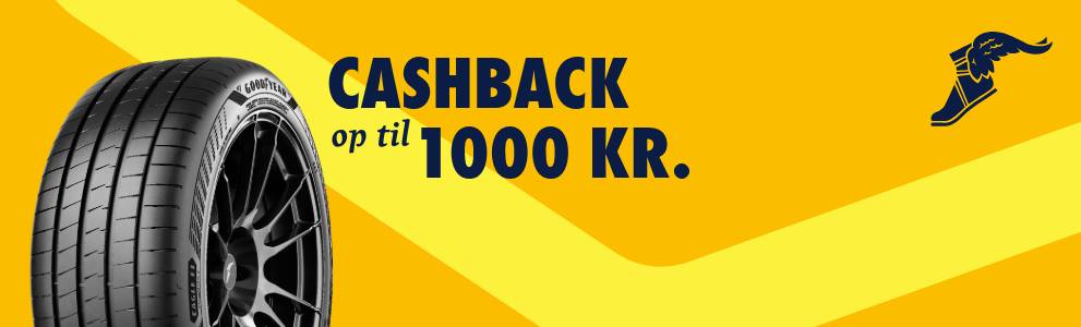 Få op til 1.000 kr. tilbage, når du køber et sæt sommer- eller helårsdæk