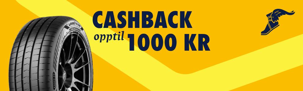 Få opptil 1.000 kr. tilbake når du kjøper et sett sommer- eller helårsdekk