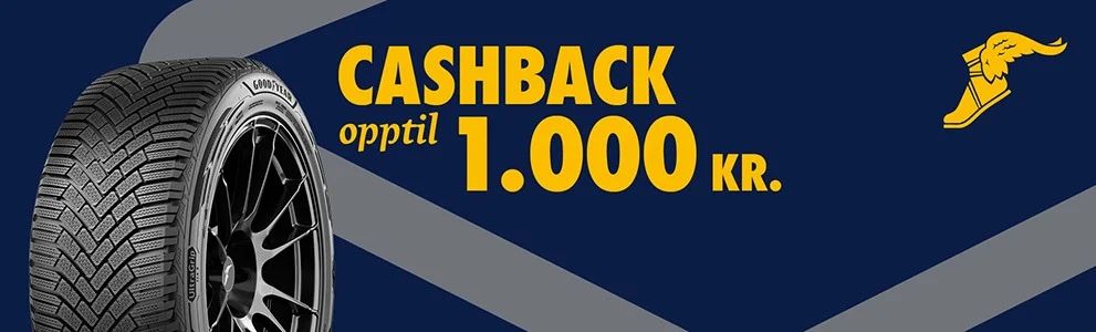 Få opptil 1.000 kr. tilbake når du kjøper et sett vinter- eller helårsdekk