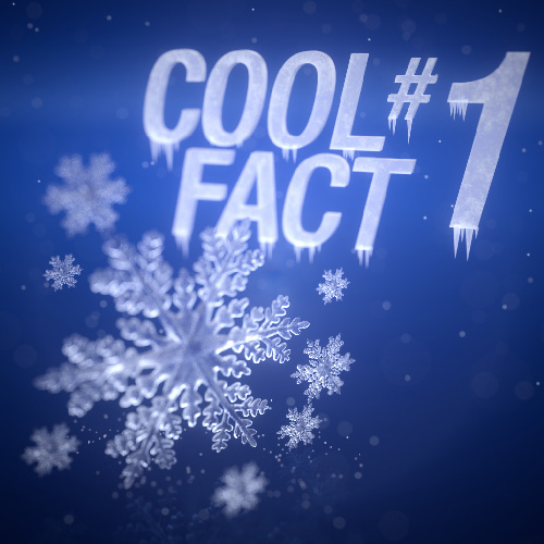 Snowflake cool fact