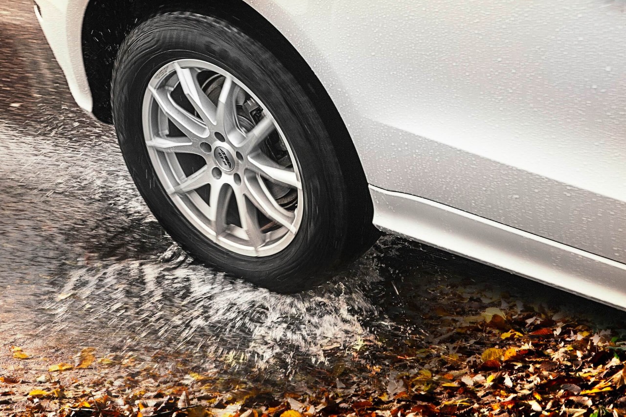 Vector 4Seasons Gen-3