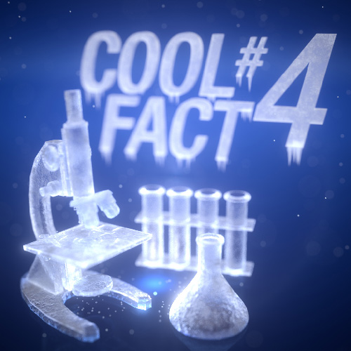 Cool fact 4 icon