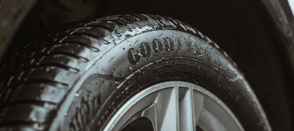 Vector 4Seasons Gen-3