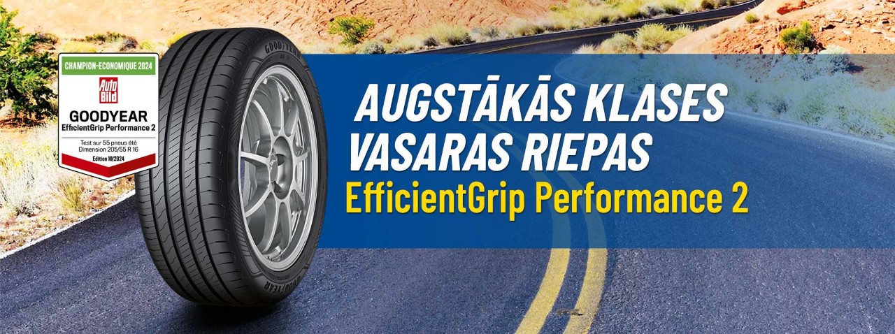 EfficientGrip Performance 2