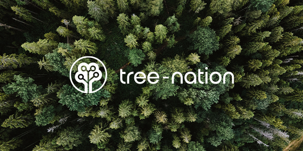 logo forest i tree-nation