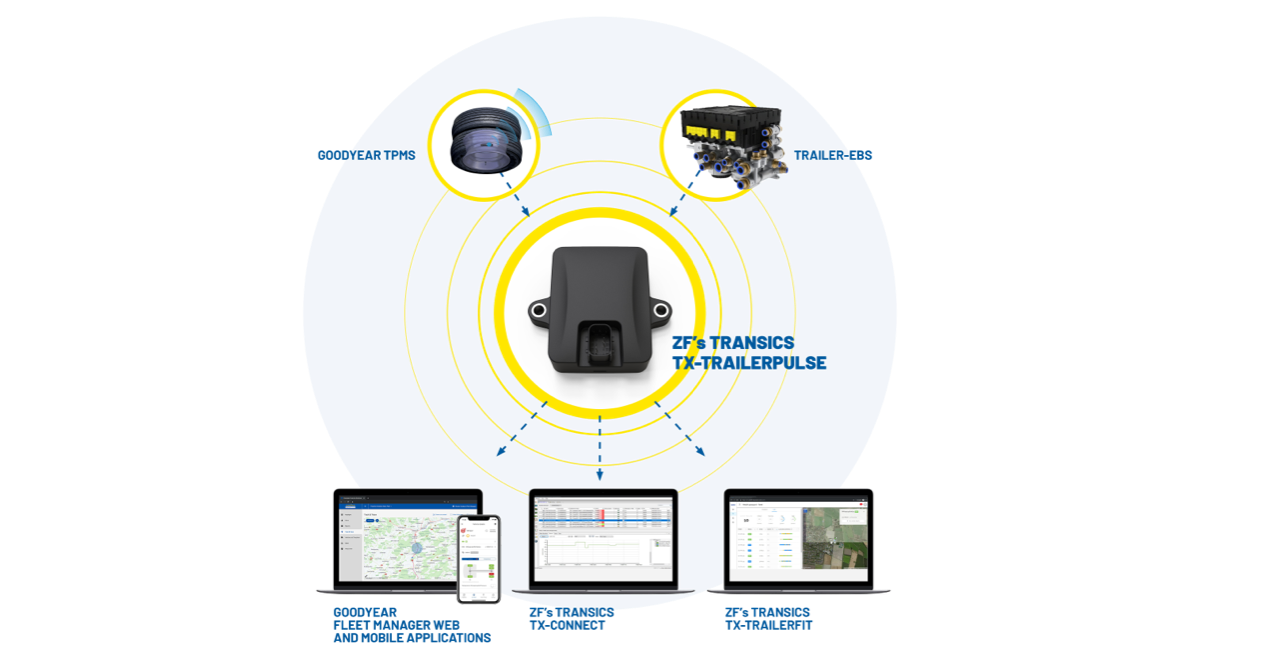 ZF, management flota, management anvelope