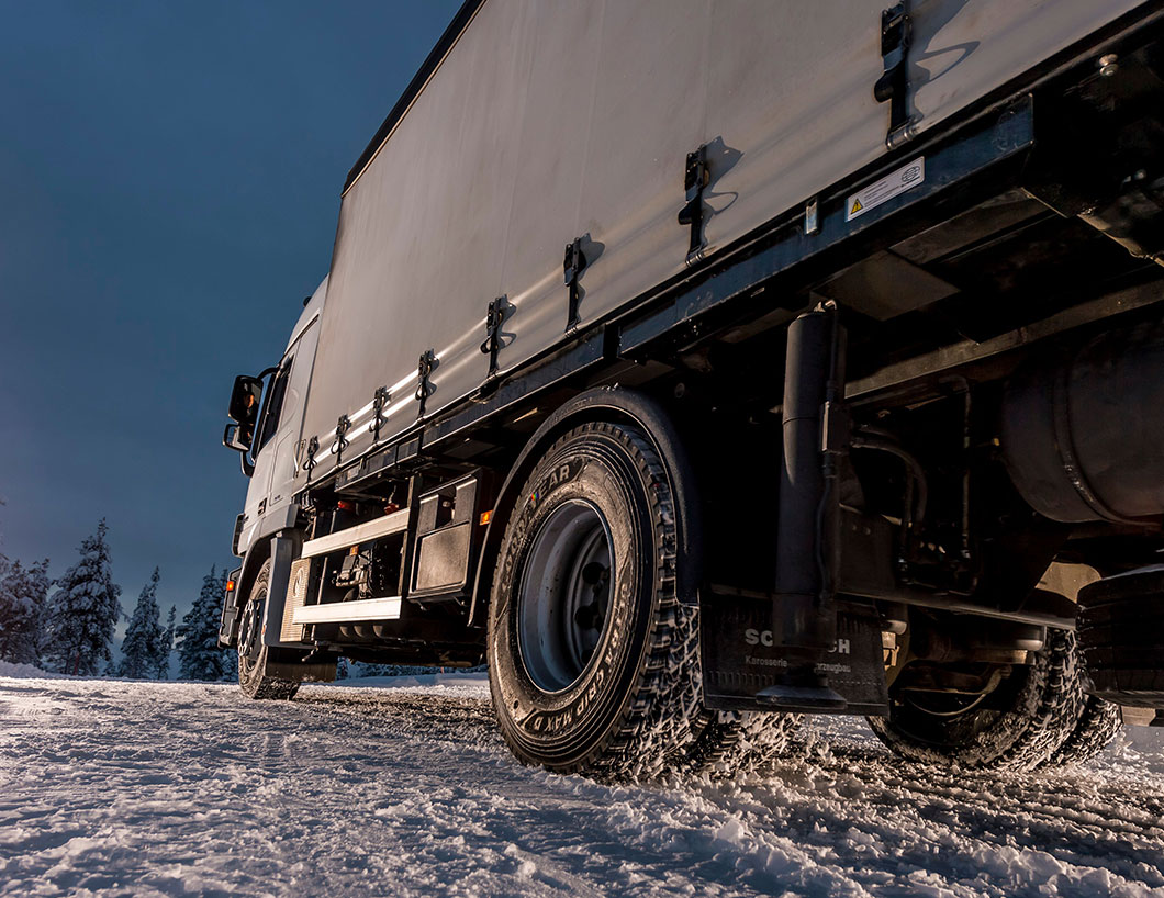 Ponudba zimskih pnevmatik Goodyear 