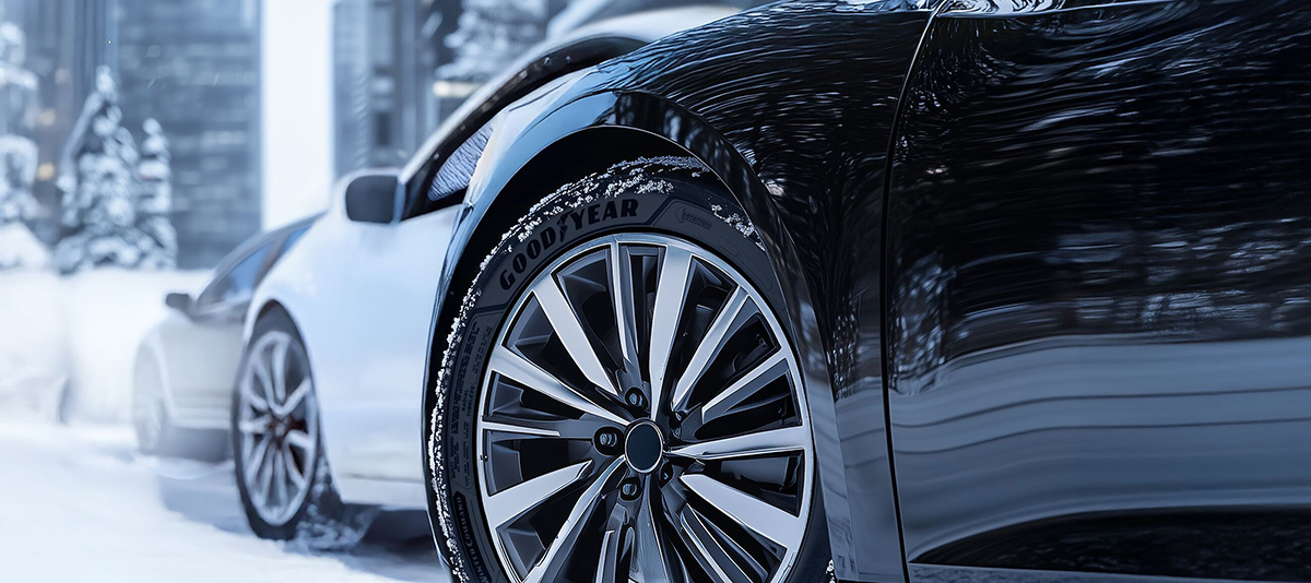 Yakın çekim Lastikler - Winter Command